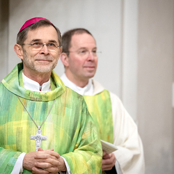 Erzdiözese Wien/Schönlaub