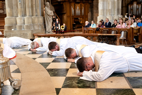 Priesterweihe 2025 im Stephansdom