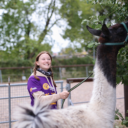 Dies & Das im Therapiehof Regenbogental